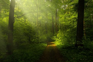 Kann Natur denn schädlich sein?